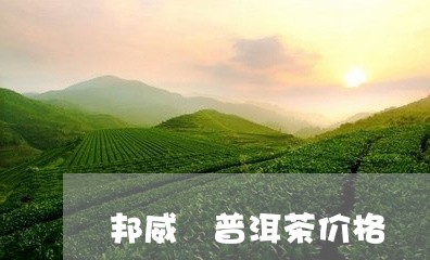 邦威 普洱茶价格/2023041261503